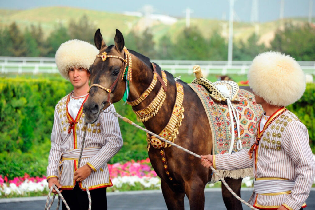 BDT Sinemacıları, Türkmenistan’ın “Atlıların Uçuşu: Güç ve Zerafet” Yarışmasında Bir Araya Gelecek