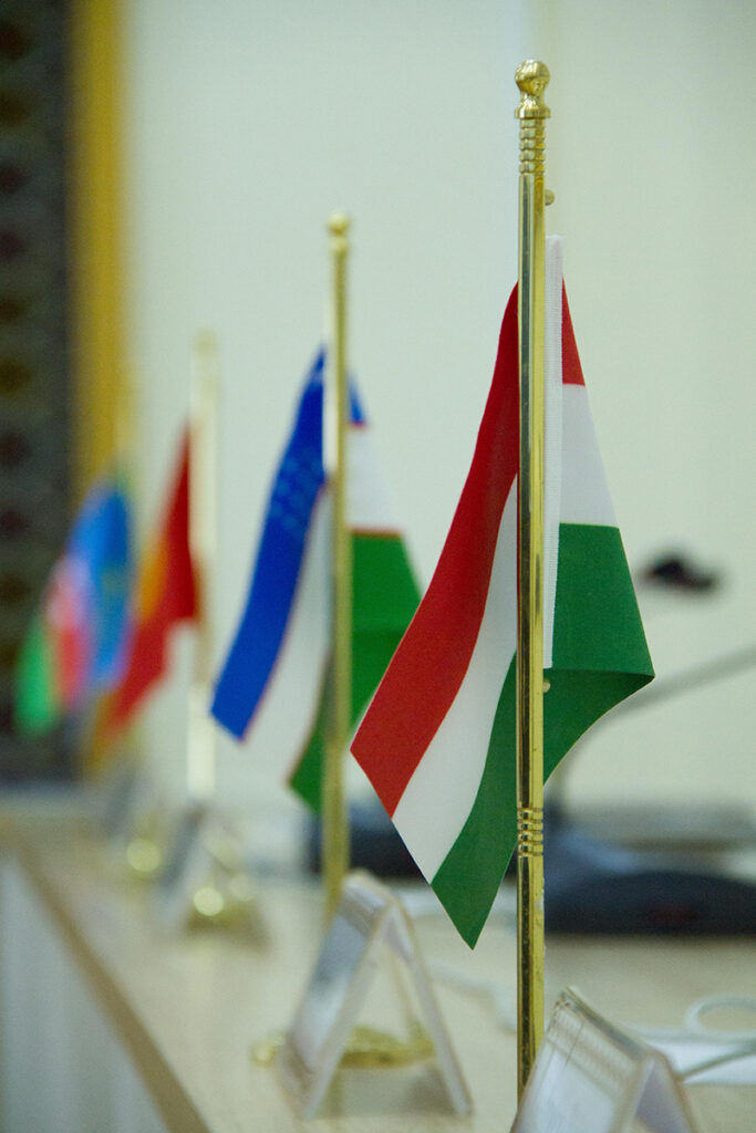 Macaristan ve Türk Dünyası: Seçim Sonrası İş Birliği Nasıl Etkilenecek?