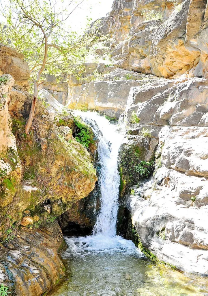 Türkmen Halk Takviminde Aralık Dönemi Başladı