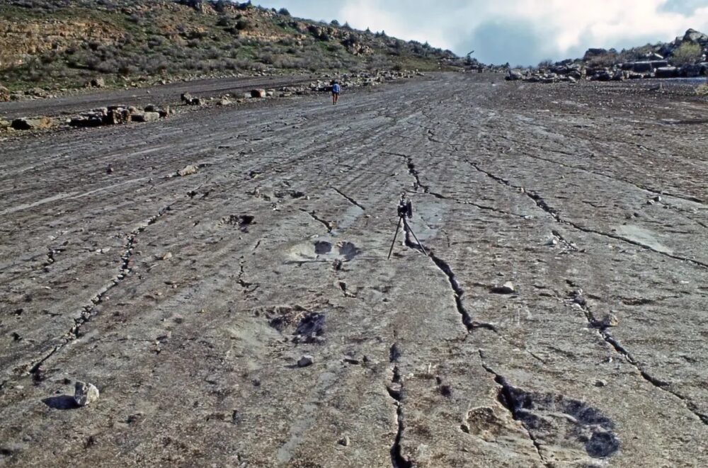 Türkmenistan ve Özbekistan’dan UNESCO Dünya Mirası İçin Ortak Girişim