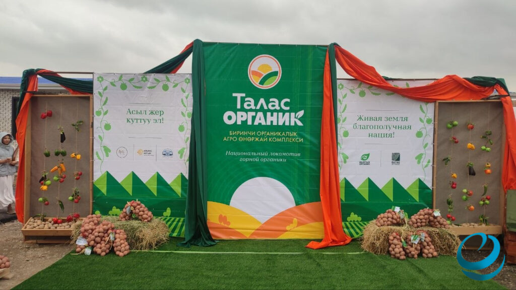 Talas’tan Dünya Pazarlarına: Kırgızistan’ın Organik Ürünleri İhracat Yolunda