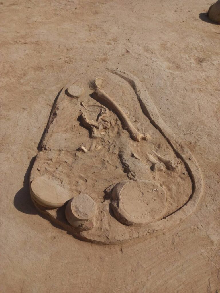 Özbekistan’da Tunç Çağına Işık Tutan Keşif: Carkutan’da Yeni Arkeolojik Buluntular